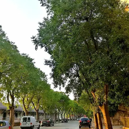 App Obrovac In The Centre - With Amazing Sea View! *