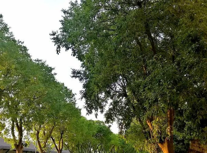 App Obrovac In The Centre - With Amazing Sea View! *